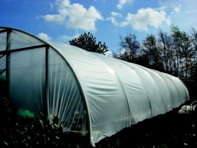 Photo: Our polytunnel polythene is UV stabilised for 5 seasons