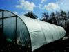 A photo of Poly Tunnel