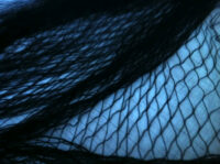 A photo of Fruit Tree Netting (4m wide, per metre length)