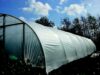 Poly Tunnel 5 Seasons (7.32m wide, per metre length) photograph